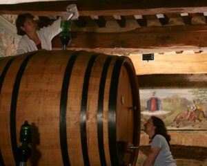 cantina casato prime donne.jpg